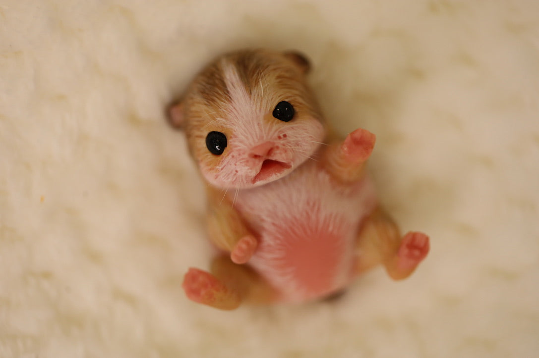 Cookie | Silicone Baby Hamster