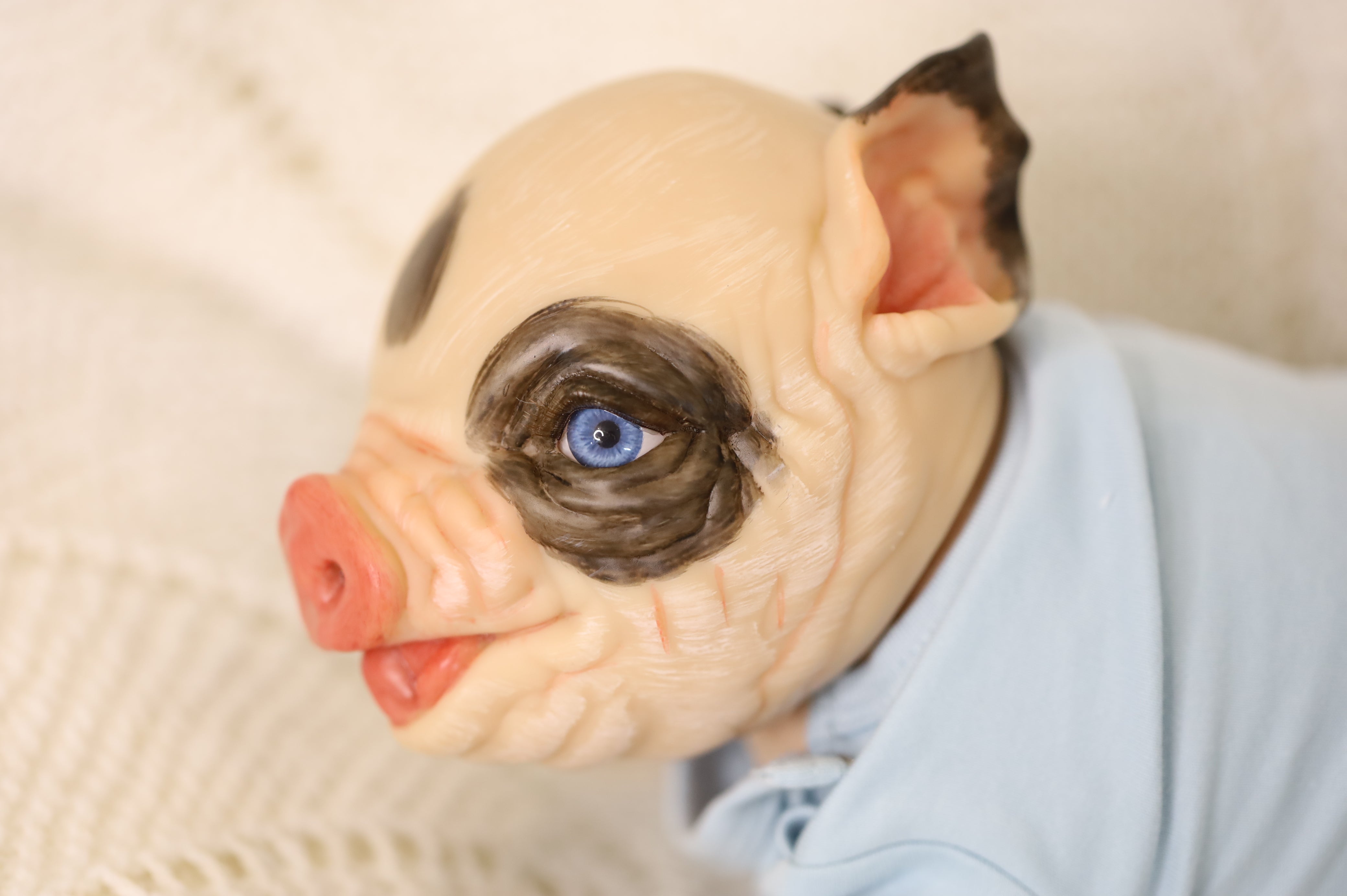 Pascal | Playborn Piglet