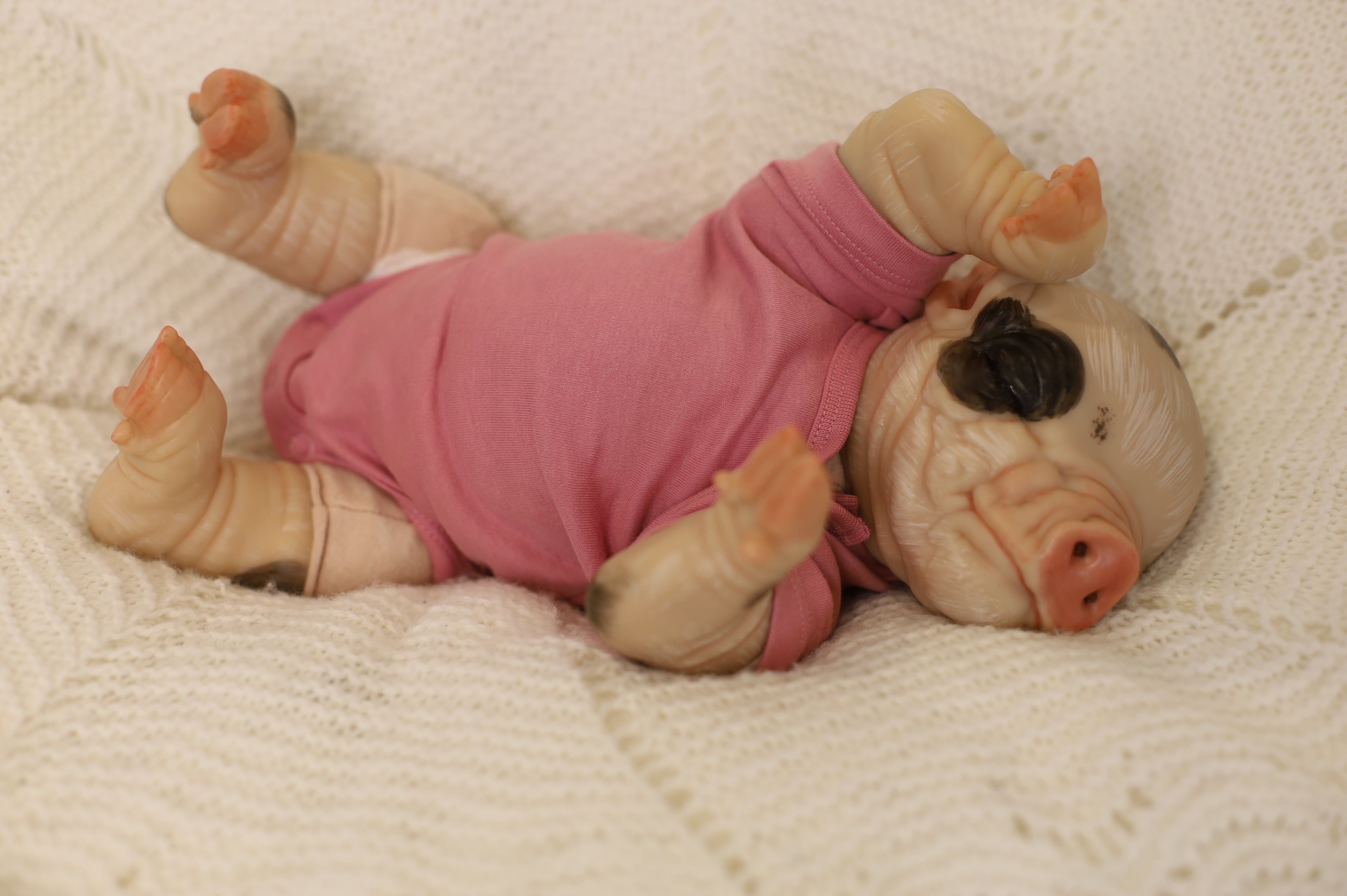 Petal | Playborn Piglet